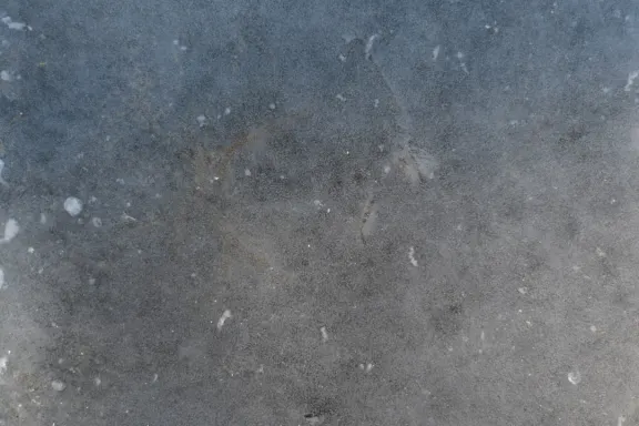 Casino Coins Game Ondersteuning